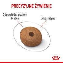 royal canin shn - Royal Canin SHN Medium Light Weight Care 3kg - 3 nuotrauka