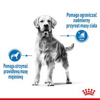 royal canin shn - Royal Canin SHN Medium Light Weight Care 3kg - 7 nuotrauka