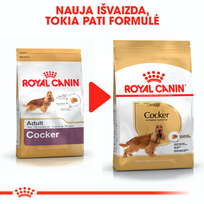royal canin sunu 12kg - Royal Canin Cocker Adult 12 kg - 3 nuotrauka