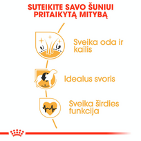 royal canin sunu 12kg - Royal Canin Cocker Adult 12 kg - 5 nuotrauka