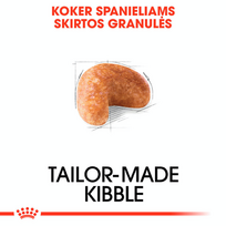 royal canin sunu 12kg - Royal Canin Cocker Adult 12 kg - 6 nuotrauka