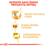 royal canin sunu 12kg - Royal Canin Boxer Adult 12 kg - 4 nuotrauka