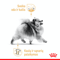 spicai - ROYAL CANIN Pomeranian Adult 1.5 kg sausas maistas suaugusių šunų miniatiūriniam špicui - 2 nuotrauka
