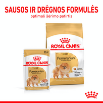 spicai - ROYAL CANIN Pomeranian Adult 1.5 kg sausas maistas suaugusių šunų miniatiūriniam špicui - 5 nuotrauka