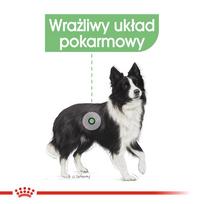 digestive - Royal Canin Medium Digestive Care sausas maistas šunims, 3 kg - 4 nuotrauka
