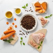 raw paleo adult medium - Sausas šunų maistas Raw Paleo Raw Paleo Ultra, kalakutiena, 2 kg - 4 nuotrauka