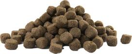 versele laga adult - Versele-Laga Adult Digestion medium & maxi ėdalas vidutinių ir didelių veislių šunims jautriai virškinimo sistemai 12,5 kg - 3 nuotrauka