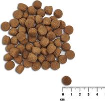 raw paleo - Sausas šunų maistas Raw Paleo Healthy Grain Salmon&Barley Puppy, lašiša, 10 kg - 2 nuotrauka