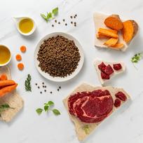 raw paleo - Sausas šunų maistas Raw Paleo Raw Paleo Ultra, jautiena, 8 kg - 3 nuotrauka