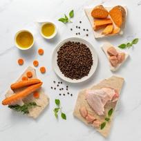 vetexpert raw paleo puppy - Sausas šunų maistas VetExpert Raw Paleo Ultra, kalakutiena, 0.750 kg - 3 nuotrauka