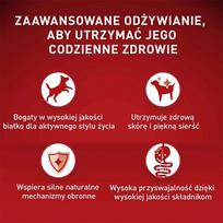 purina one mini - Purina One Mini Beef And Rice, jautiena, 0.8 kg - 2 nuotrauka