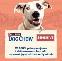 suaugusiojo salmas - Purina Dog Chow Adult Sensitive su lašiša 14 kg - 6 nuotrauka
