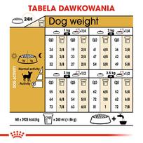 sunu maistas - Royal Canin Chihuahua Adult sausas maistas šunims, 1.5 kg - 3 nuotrauka