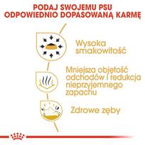 sunu maistas - Royal Canin Chihuahua Adult sausas maistas šunims, 1.5 kg - 5 nuotrauka