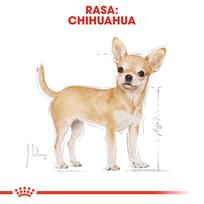 sunu maistas - Royal Canin Chihuahua Adult sausas maistas šunims, 1.5 kg - 7 nuotrauka