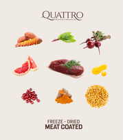 begrudis sunu maistas - Quattro Adult All Breed Lamb 12 kg - 2 nuotrauka