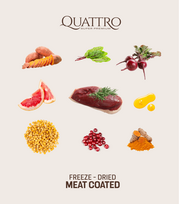 begrudis sunu maistas - Quattro Grain Free sausas pašaras su antiena didelių veislių šunims, 12 kg - 2 nuotrauka