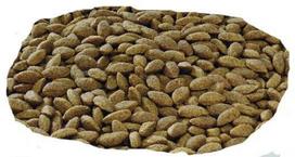 purina pro plan - Purina Pro Plan Medium Large Adult 7+ Sensitive Skin 14 kg - 2 nuotrauka