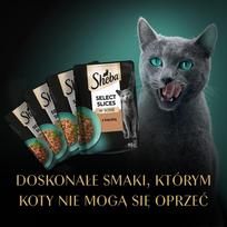 sheba 40x85 - Sheba Selection Select Slices su antiena, vištiena, paukštiena ir kalakutiena, 40x85 g - 3 nuotrauka