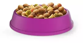 vistiena - WHISKAS Adult kurczak i warzywa 14kg - 2 nuotrauka