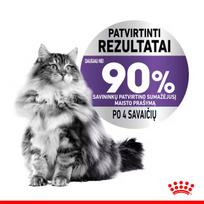 royal canin konservai katems - Šlapias kačių maistas Royal Canin Care Appetite Control, 0.085 kg, 12 vnt. - 2 nuotrauka