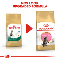 royal canin kitten - Royal Canin Maine Coon Kitten 0,4 kg - 2 nuotrauka