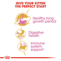 royal canin kitten - Royal Canin Maine Coon Kitten 0,4 kg - 3 nuotrauka