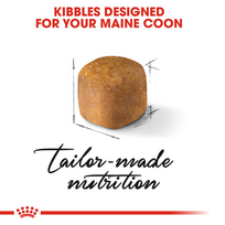 royal canin kitten - Royal Canin Maine Coon Kitten 0,4 kg - 5 nuotrauka