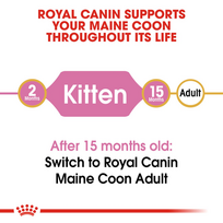 royal canin kitten - Royal Canin Maine Coon Kitten 0,4 kg - 6 nuotrauka