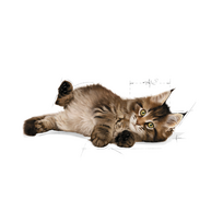 royal canin kitten - Royal Canin Maine Coon Kitten 0,4 kg - 7 nuotrauka