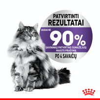 maistas sterilizuotom katem - Royal Canin Appetite Control sausas maistas katėms, 0,4 kg - 4 nuotrauka