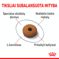 maistas sterilizuotom katem - Royal Canin Appetite Control sausas maistas katėms, 0,4 kg - 5 nuotrauka