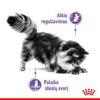 maistas sterilizuotom katem - Royal Canin Appetite Control sausas maistas katėms, 0,4 kg - 6 nuotrauka