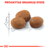 royal canin sterilised - Royal Canin FHN Sterilised +7 400g - 5 nuotrauka