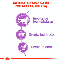 royal canin sterilised - Royal Canin FHN Sterilised +7 400g - 6 nuotrauka