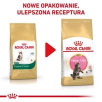 royal canin kitten - Royal Canin Maine Coon Kitten, 2 kg - 4 nuotrauka