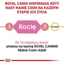 royal canin kitten - Royal Canin Maine Coon Kitten, 2 kg - 9 nuotrauka