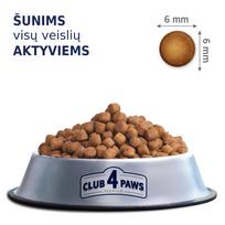 sausas sunu maistas club 4 - Club 4 Paws Premium Active sausas maistas su vištiena suaugusiems visų veislių šunims, 14 kg - 6 nuotrauka