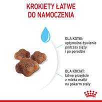 kates - Royal Canin Babycat 34 2 kg - 2 nuotrauka