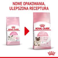 kates - Royal Canin Babycat 34 2 kg - 6 nuotrauka