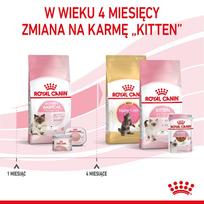 kates - Royal Canin Babycat 34 2 kg - 8 nuotrauka