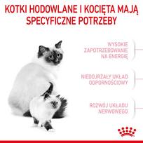 kates - Royal Canin Babycat 34 2 kg - 9 nuotrauka