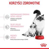 kates - Royal Canin Babycat 34 2 kg - 11 nuotrauka