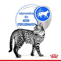 royal canin sterilised - Šlapias kačių maistas Royal Canin Indoor, grūdai, 0.085 kg, 12 vnt. - 2 nuotrauka