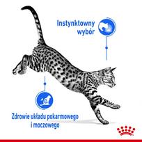 royal canin sterilised - Šlapias kačių maistas Royal Canin Indoor, grūdai, 0.085 kg, 12 vnt. - 5 nuotrauka