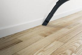 hoover siurblys - Hoover BV60PET 011 - 2 nuotrauka
