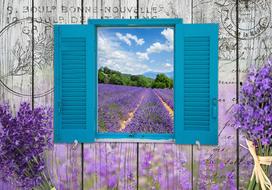 Fototapetas Artgeist Lavender Recollection, 210 cm x 210 cm
