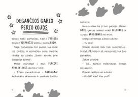 detektyvai vaikams - Pabaisa ir dingę užkandžiai - 6 nuotrauka