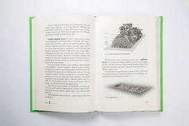 saulius jasionis - Gamtinė žemdirbystė - 2 nuotrauka