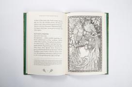 j.k. rowling - Fantastiniai gyvūnai ir kur juos rasti. Hogvartso bibliotekos knyga - 2 nuotrauka